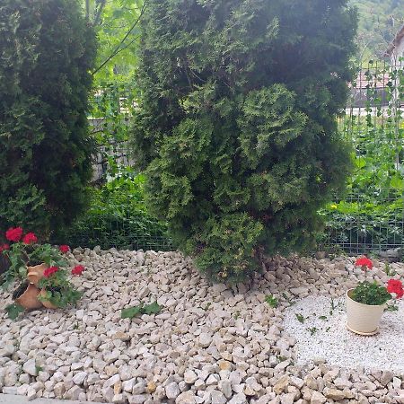 Miraj Hotel Азуга Екстериор снимка