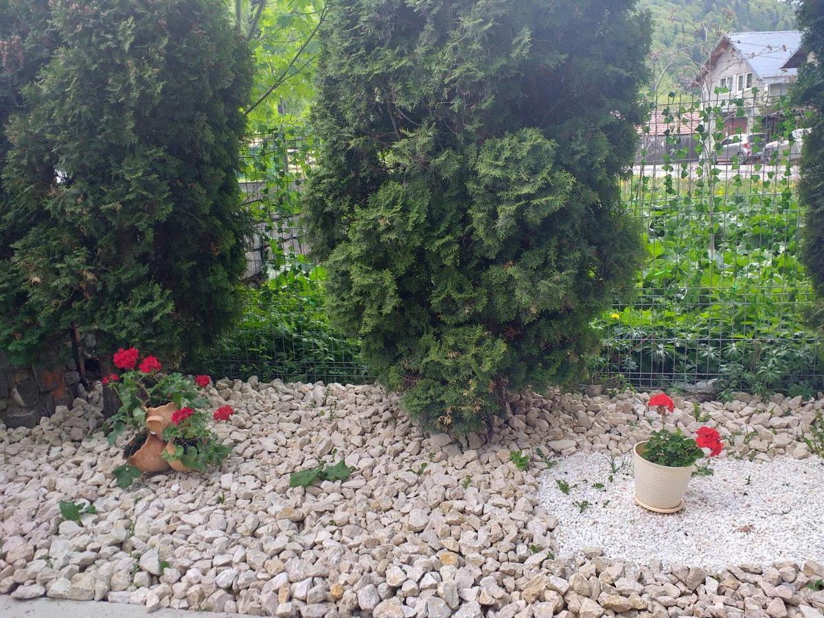 Miraj Hotel Азуга Екстериор снимка